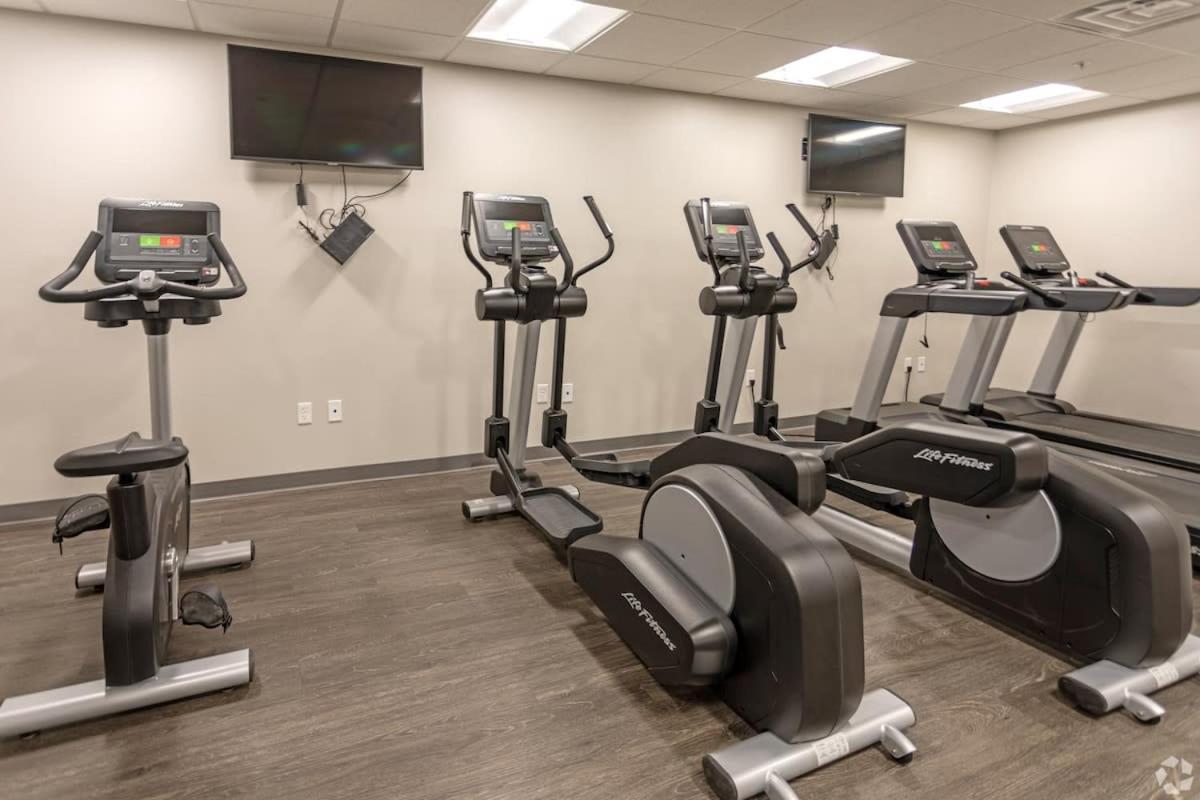 2 Bedroom Brand New Apartment Near Mayo, Park Free Rochester Bagian luar foto